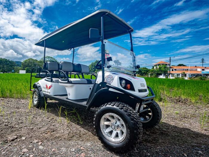 6-seater EZ Go Golf Cart Rental - Jaco Costa Rica