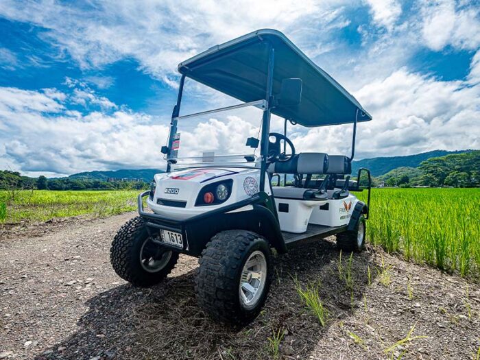 6-seater EZ Go Golf Cart Rental - Jaco Costa Rica